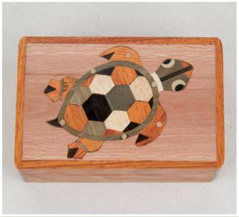 Turtle