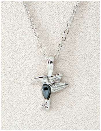 Dainty Hummingbird