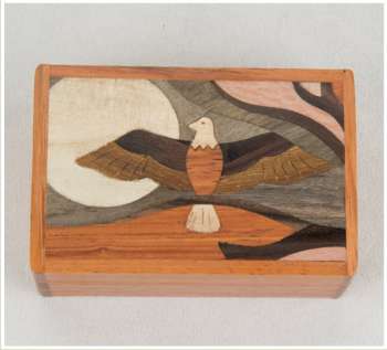 Soaring Eagle