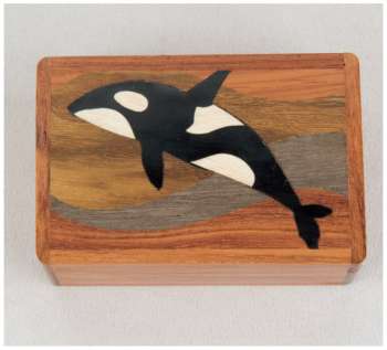 Orca Whale