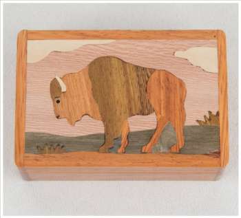 Buffalo