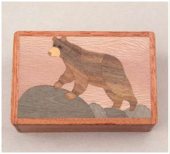 Black Bear