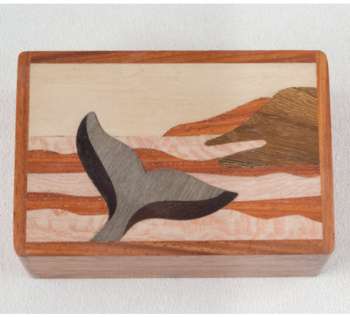 Whale Tail