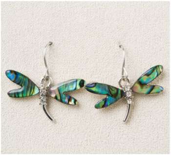 Dragonfly Dream