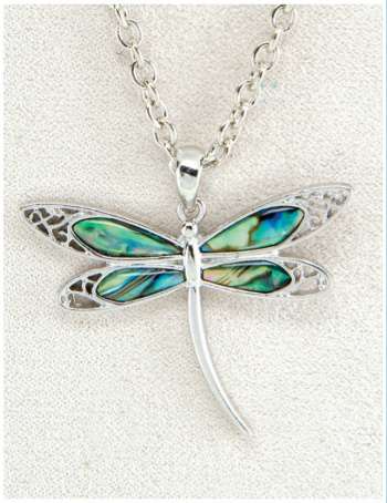 Elegant Dragonfly