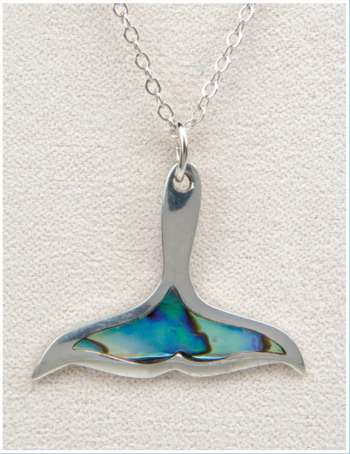 Whale Tail