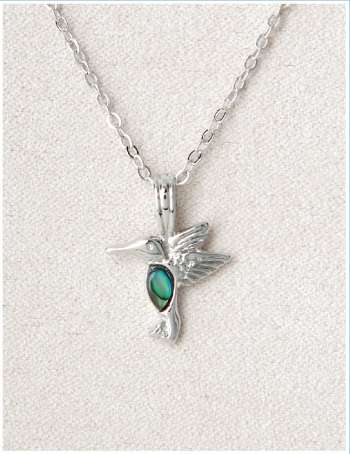 Dainty Hummingbird