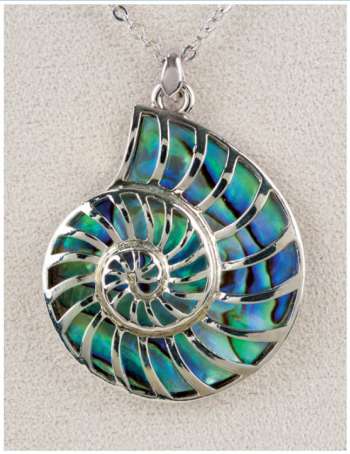 Nautilus