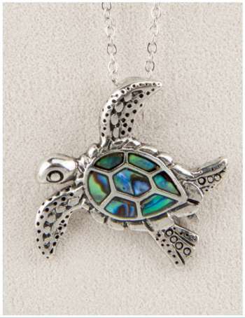 Fancy Sea Turtle
