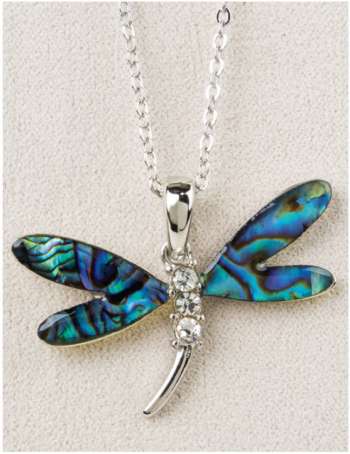 Dragonfly Dream