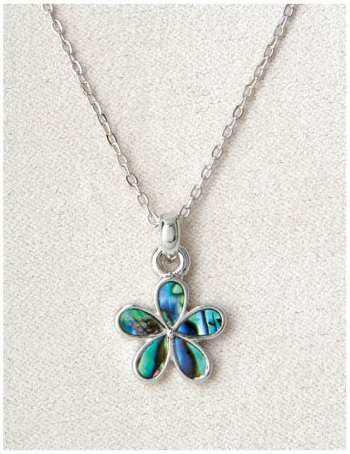 Forget-Me-Not