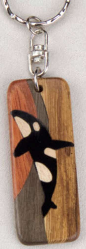 Orca Whale