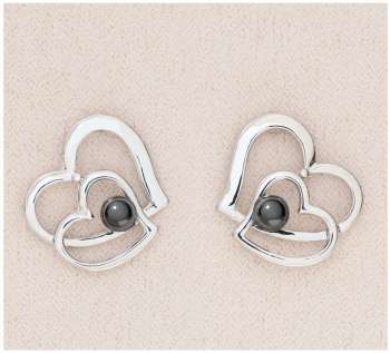 Heart's Companion