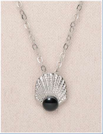 Clam Shell